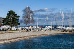 Société de Sécurité Thonon-les-Bains
